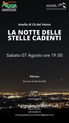 La Notte delle Stelle Cadenti: Un Omaggio alla Creatività di Shahzad Gul e all'Impatto Globale del Festival di Luce