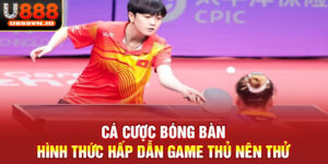 Cá Cược Bóng Bàn - Hình Thức Hấp Dẫn Game Thủ Nên Thử