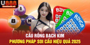 Cầu Rồng Bạch Kim - Phương Pháp Soi Cầu Hiệu Quả 2025