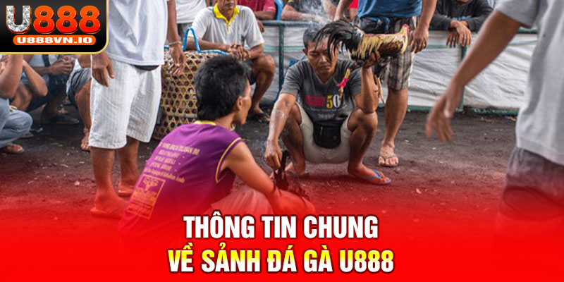 Thông tin chung về sảnh đá gà U888