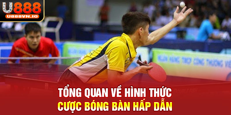 Tổng quan về hình thức cược bóng bàn hấp dẫn