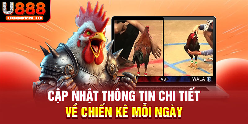 Cập nhật thông tin chi tiết về chiến kê mỗi ngày