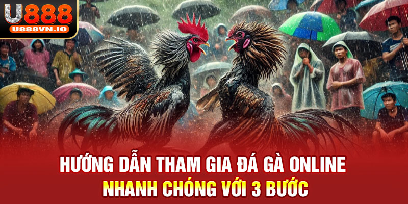 Hướng dẫn tham gia đá gà online nhanh chóng với 3 bước