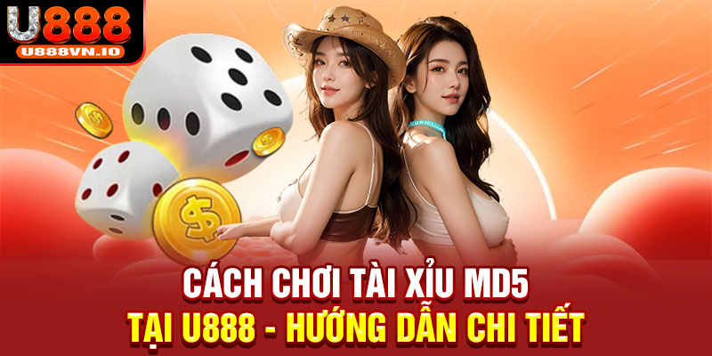 Cách chơi tài xỉu MD5 tại U888 - Hướng dẫn chi tiết