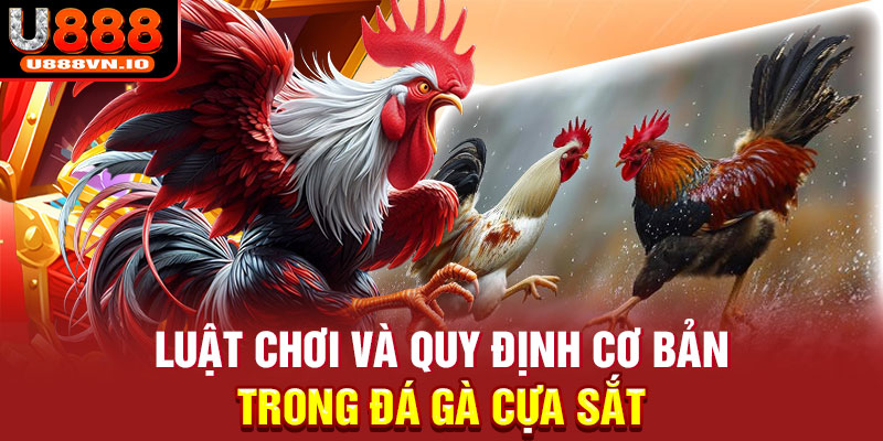 Luật chơi và quy định cơ bản trong đá gà cựa sắt