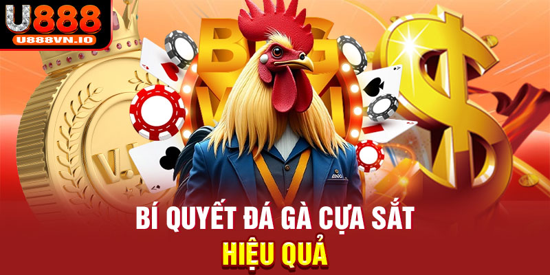 Bí quyết đá gà cựa sắt hiệu quả